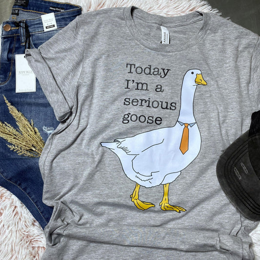 Today I'm a serious goose