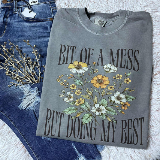 Bit Of A Mess
